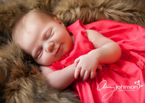 Bailey newborn photographer